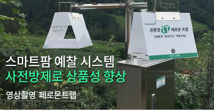 모바일4