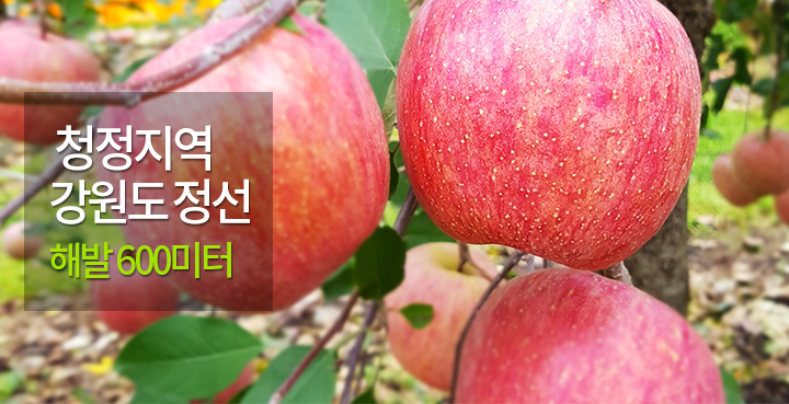 모바일3