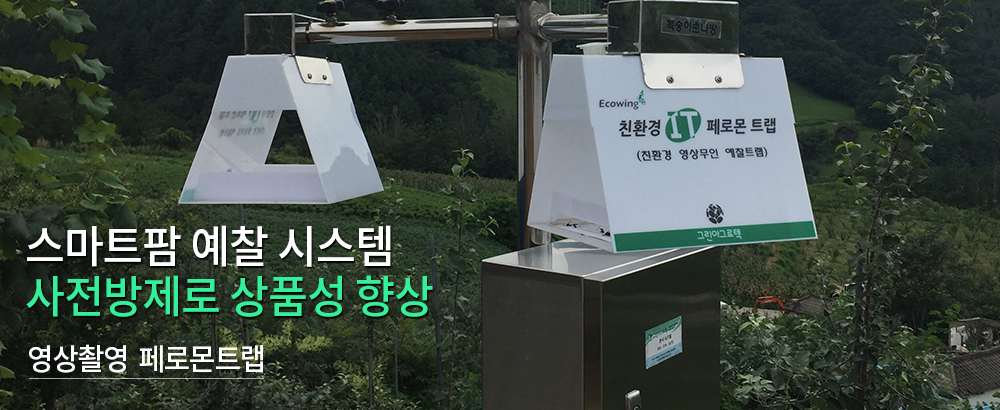 메인네번째